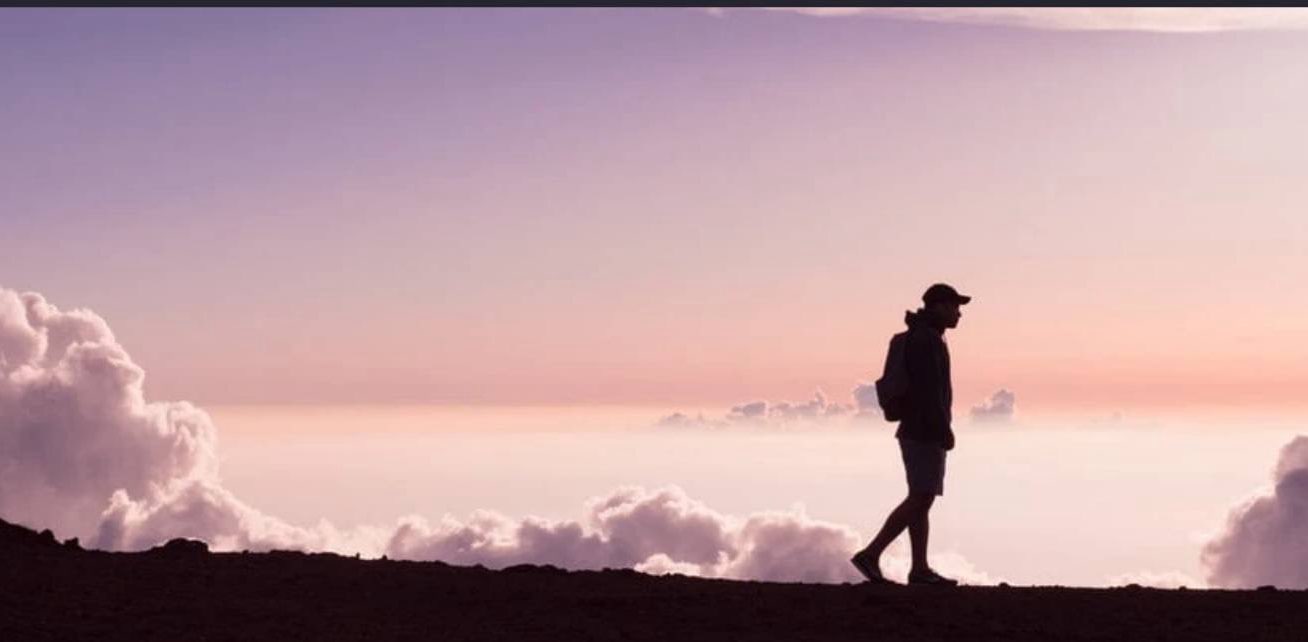 FM Virtual Walk club banner