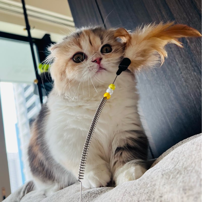 Friends and family logo