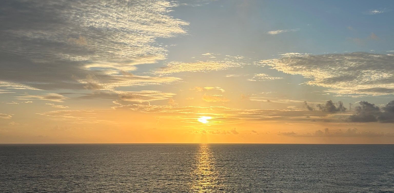 75 soft steppers banner