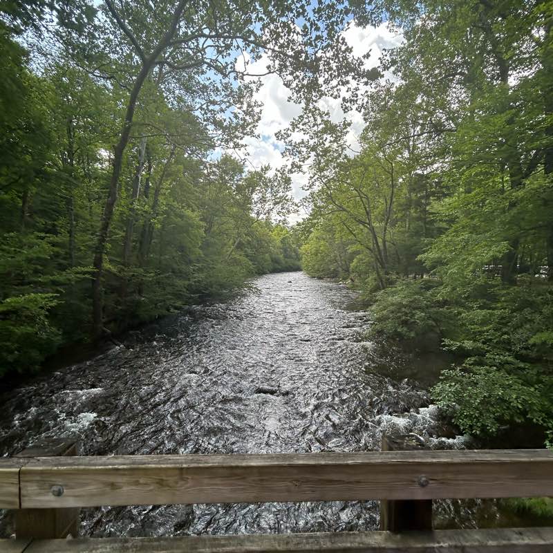 75 soft steppers logo