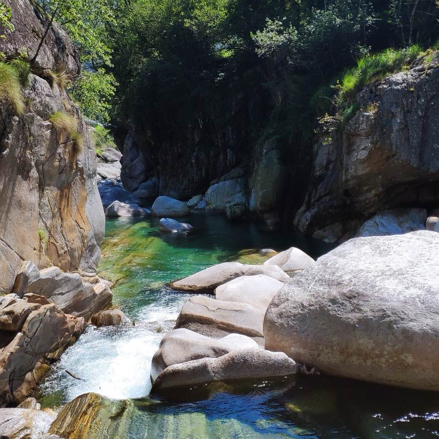 Kraft in der Bewegung logo