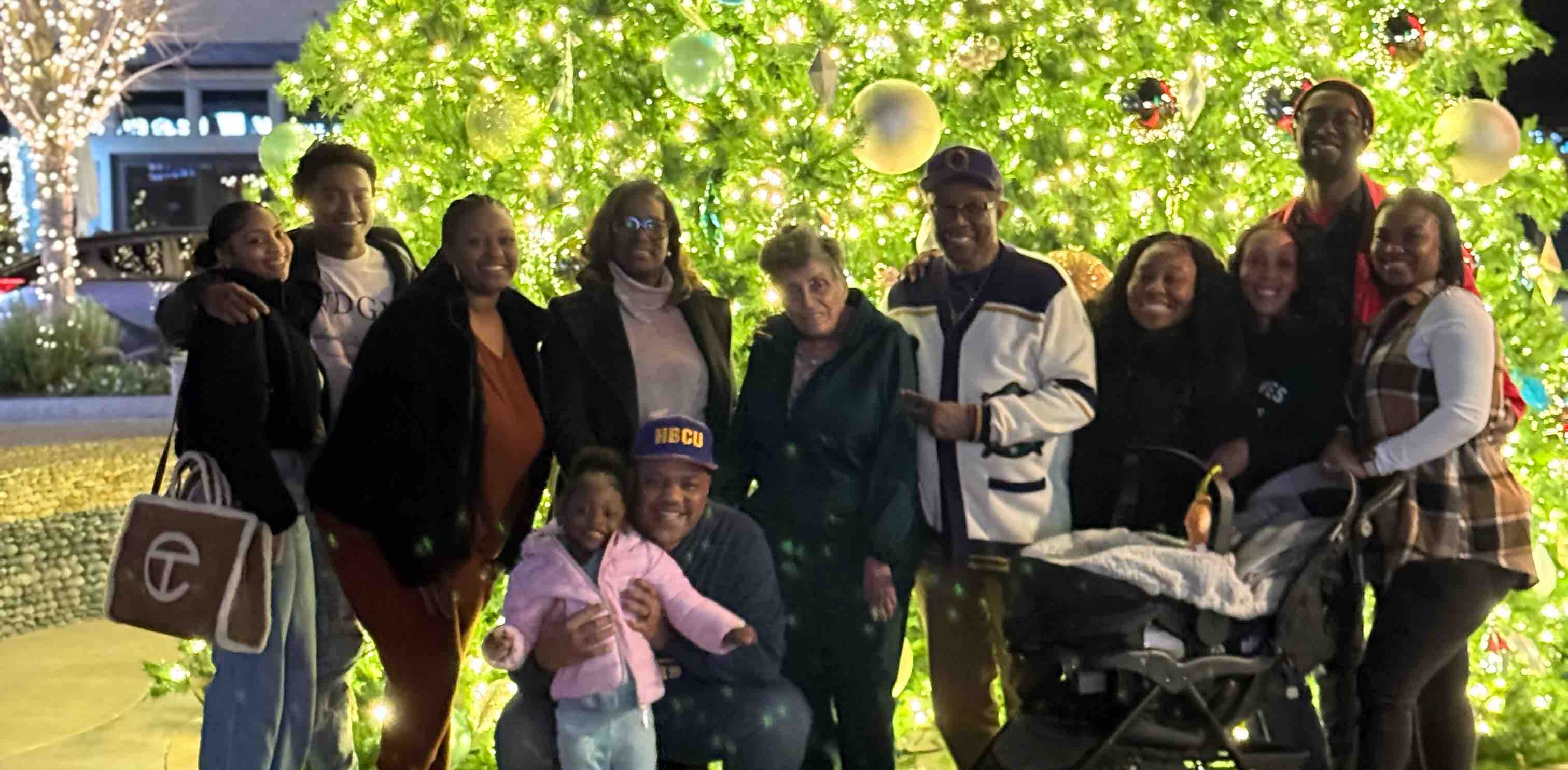 Meet the Robinson’s banner