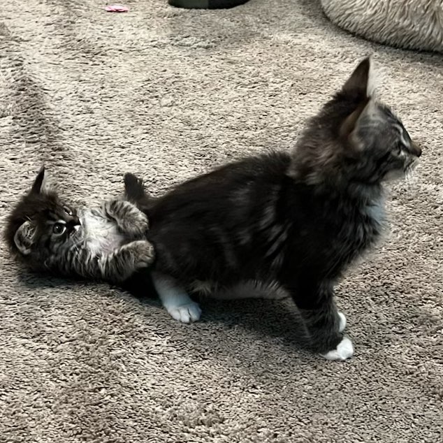 Miles with my people logo