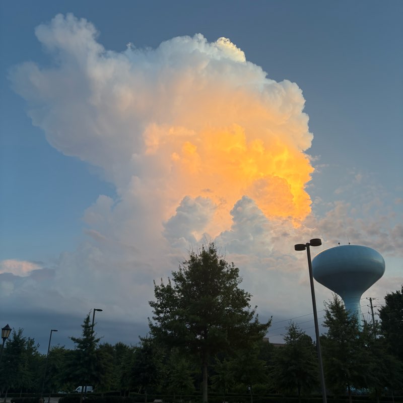 Walker Texas Rangers logo