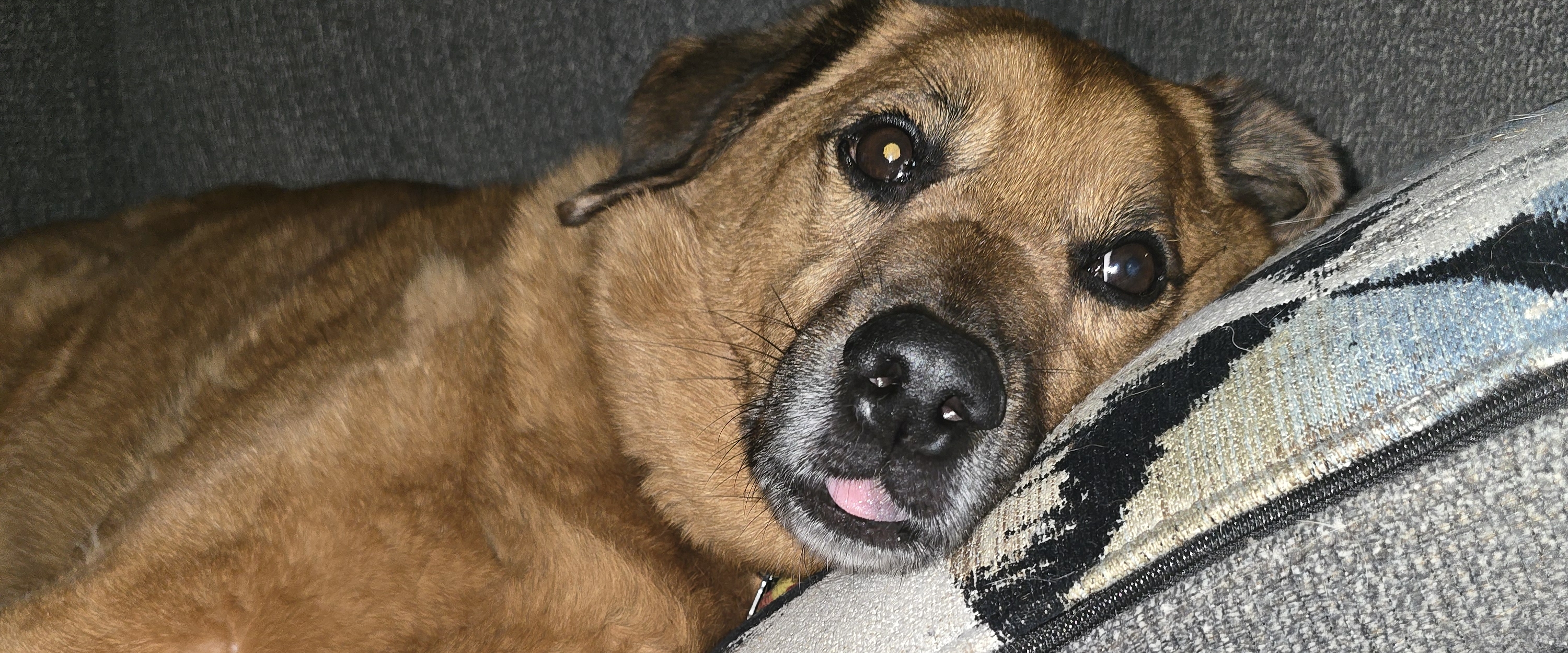 spooky challenge club banner