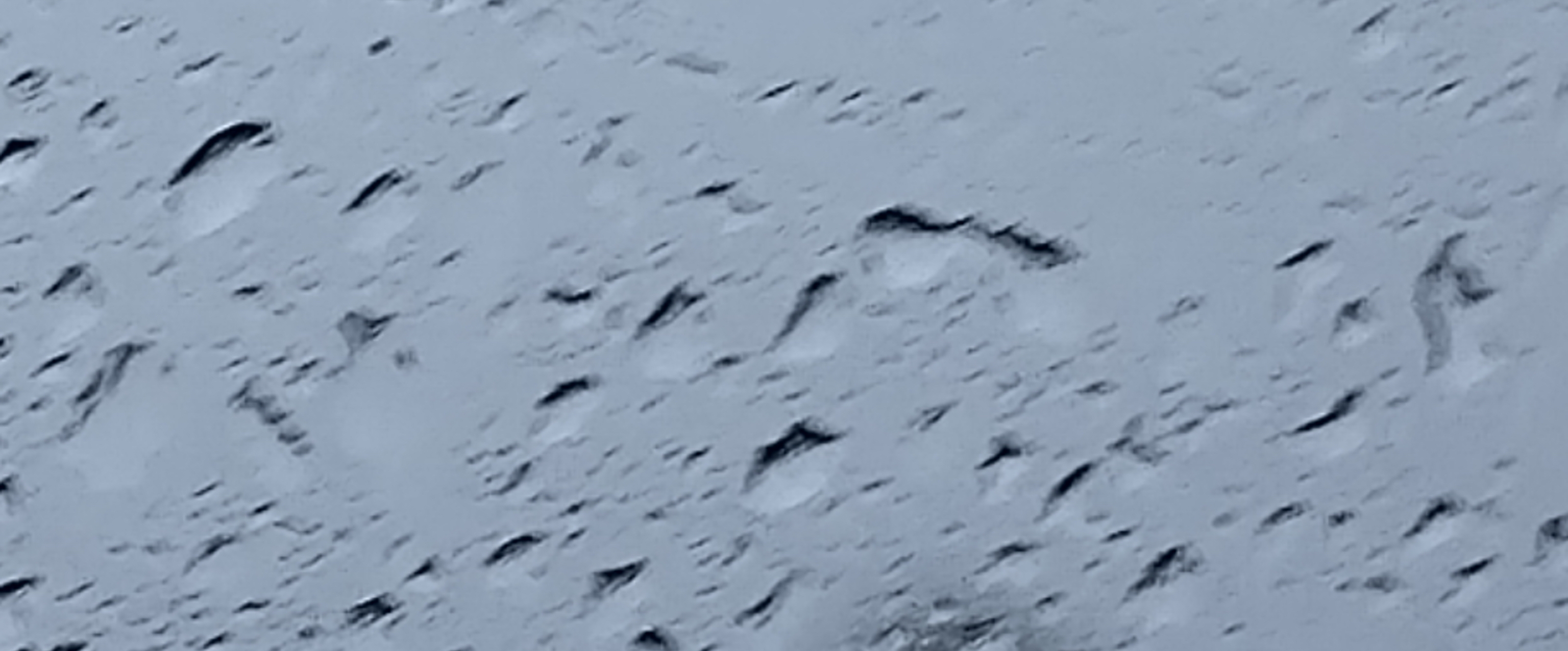 小家族走路群 banner