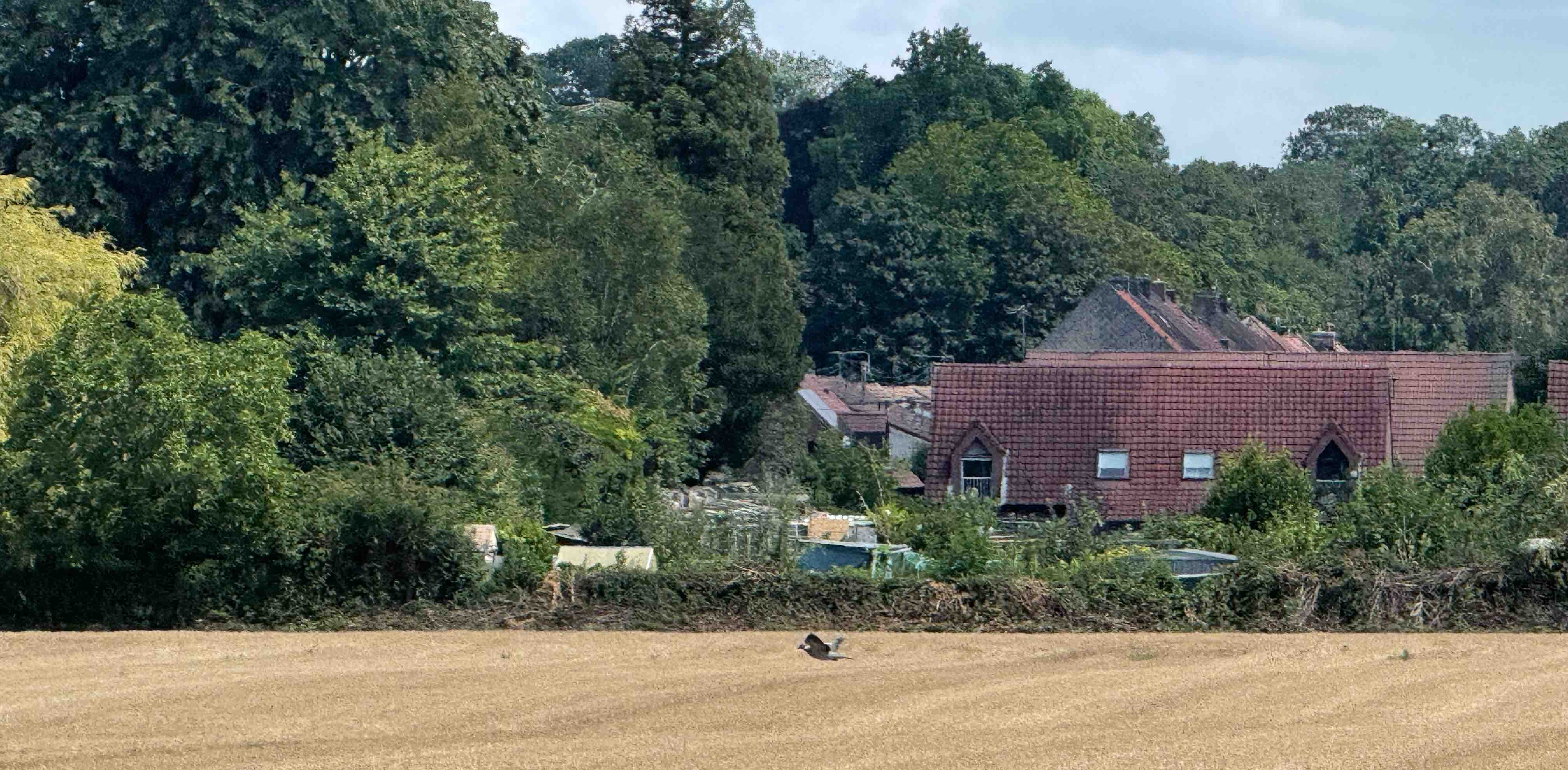 MiddleSummerDay banner