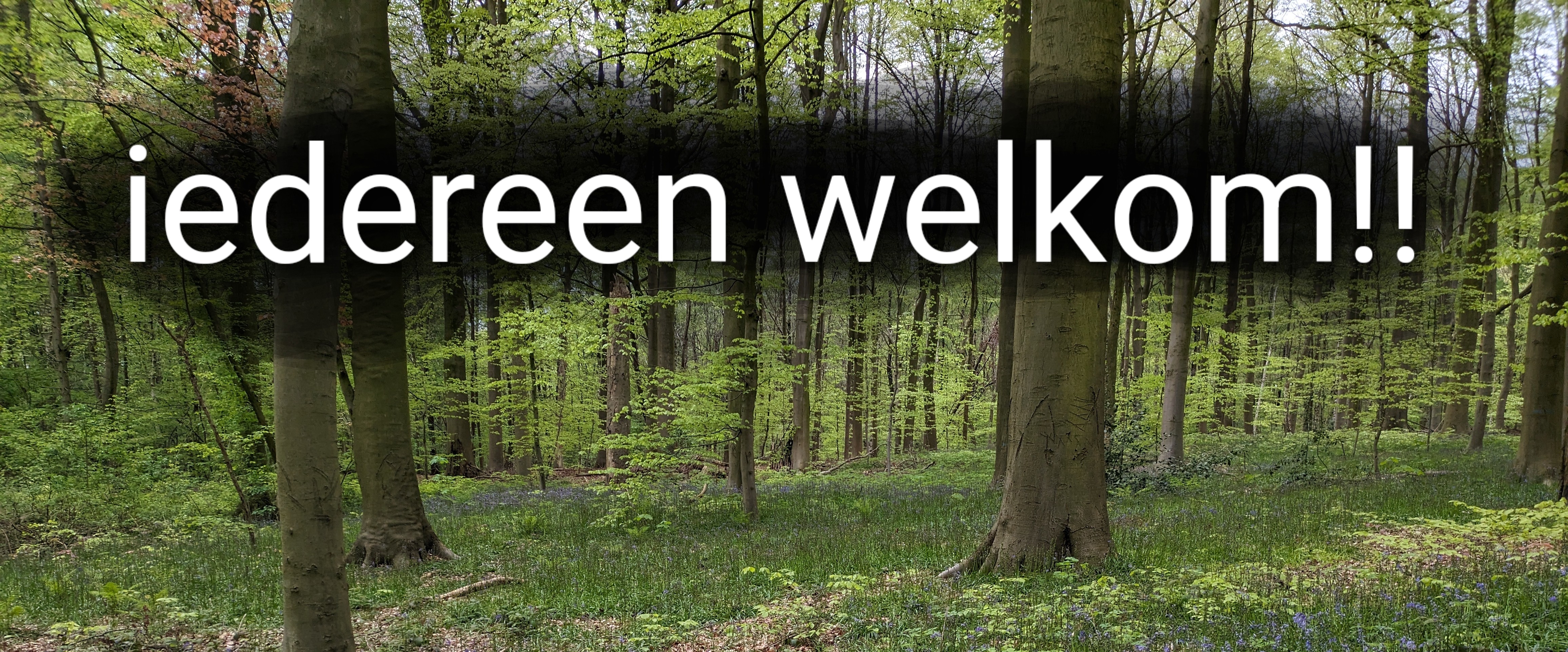 tempo 👣😁 banner