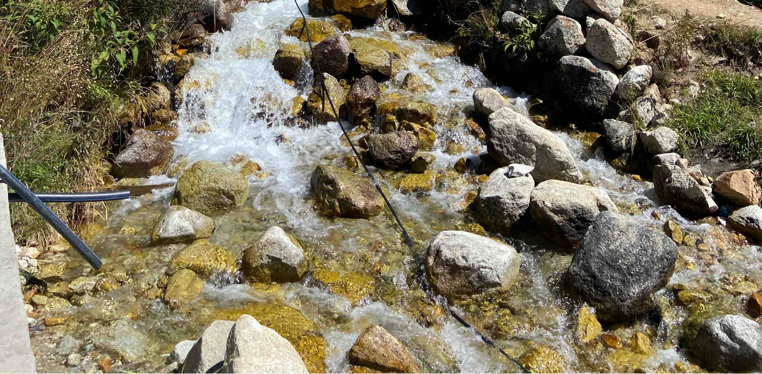 Walking Enthusiasts banner