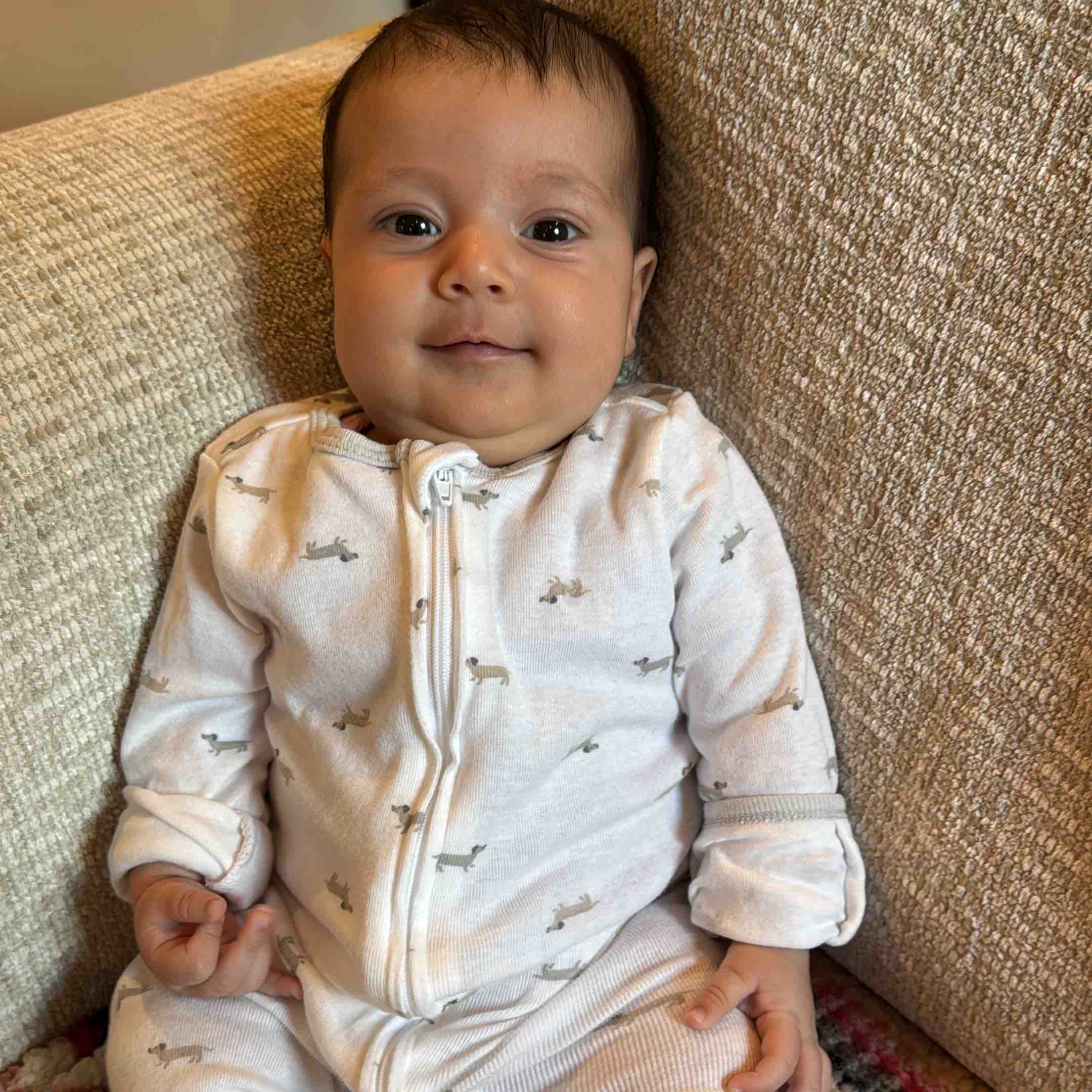 Dearborn and Texas logo