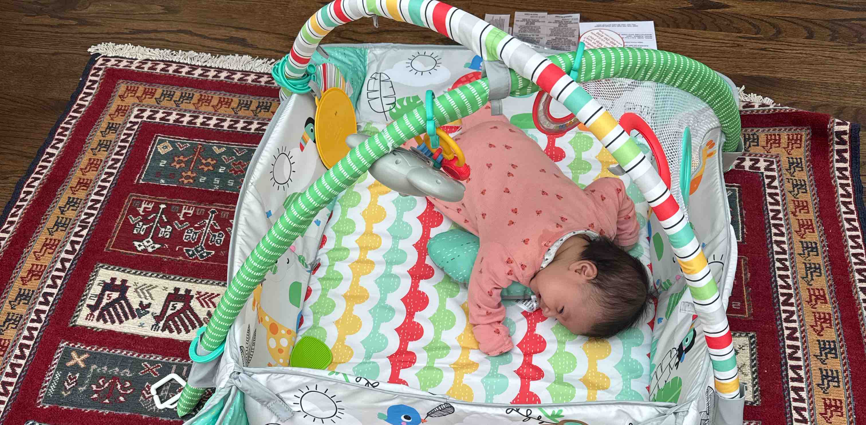 Dearborn and Texas banner