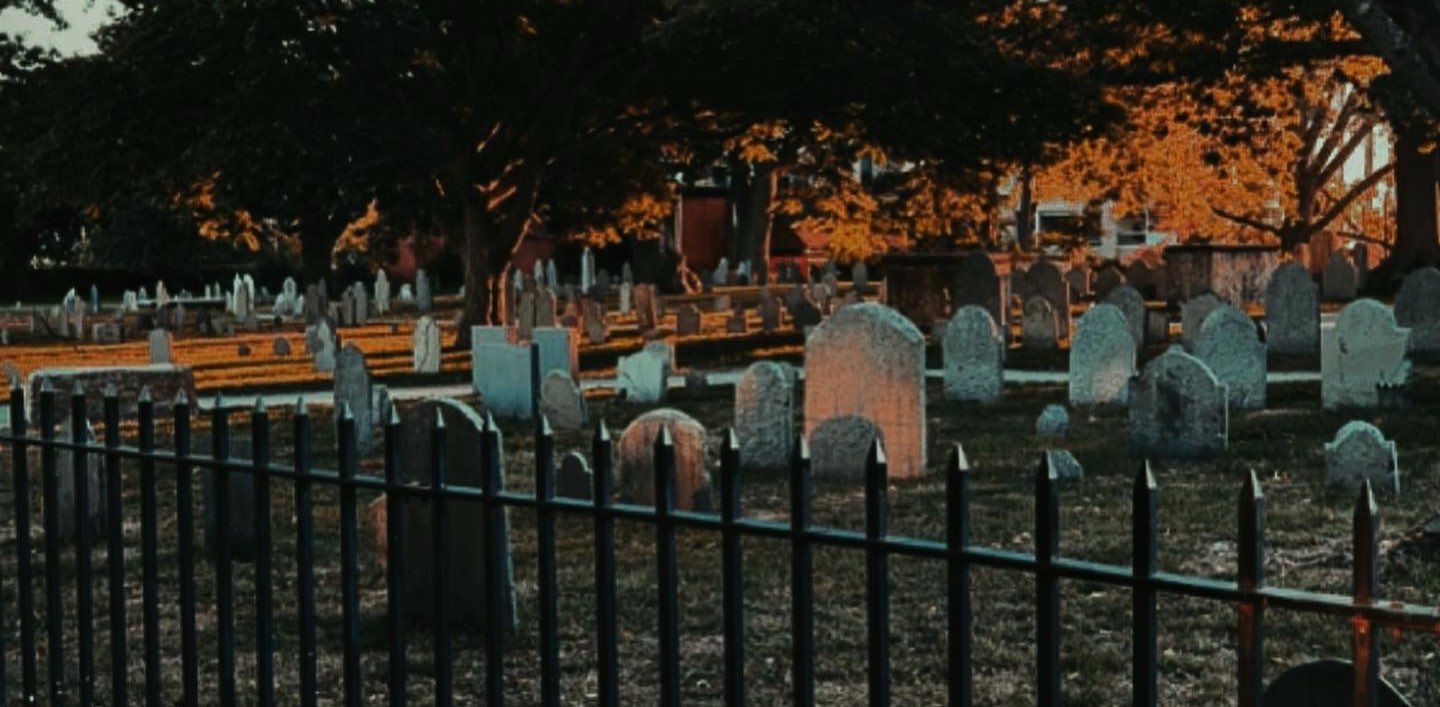 Spooky Bitches👻 banner