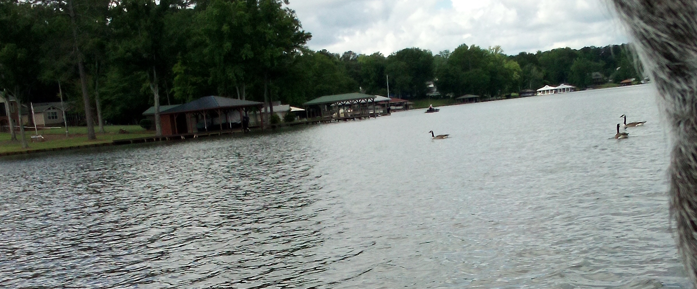 walk,ride bike or run banner