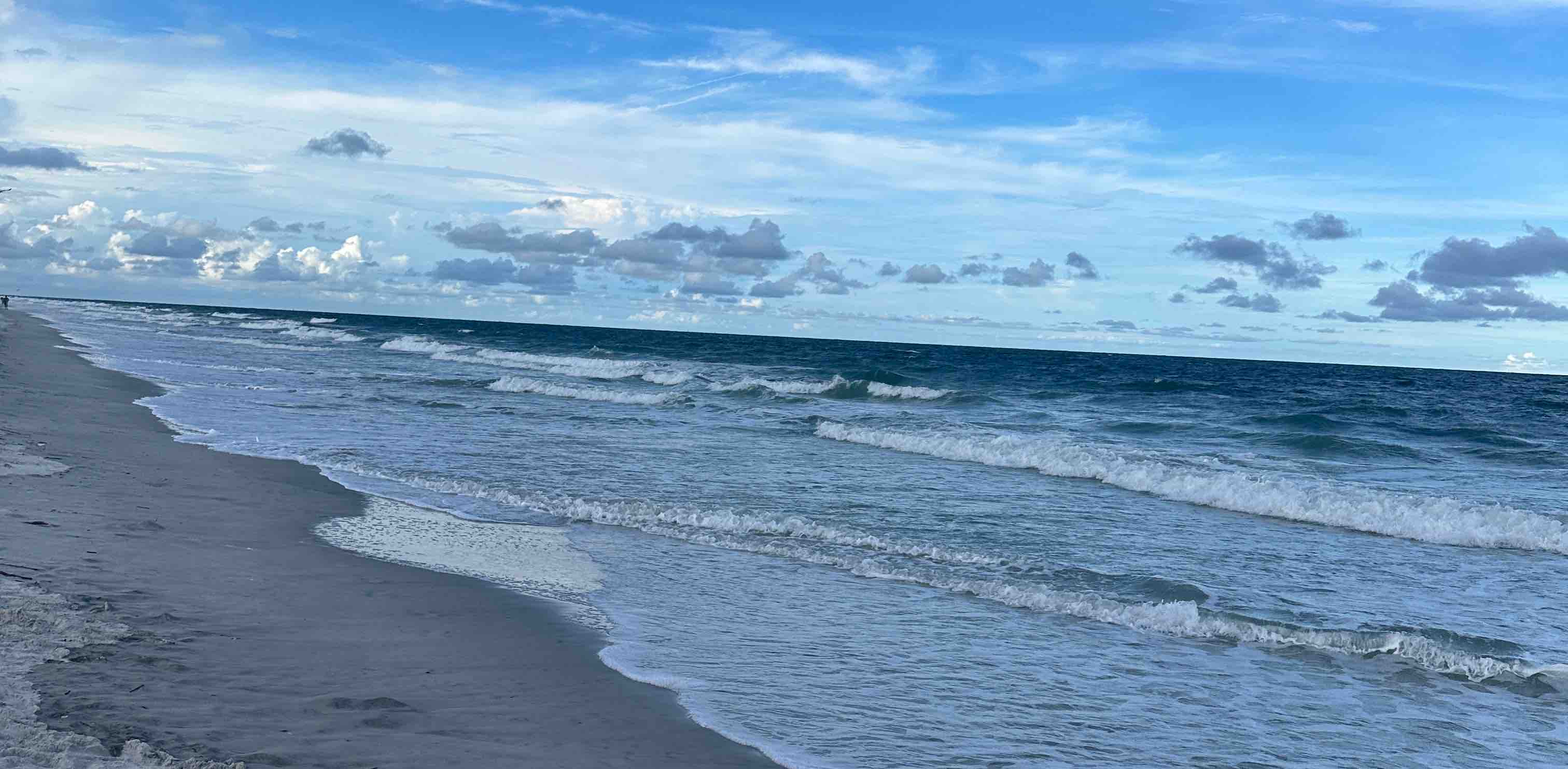 The Straw Hat Grand Fleet banner