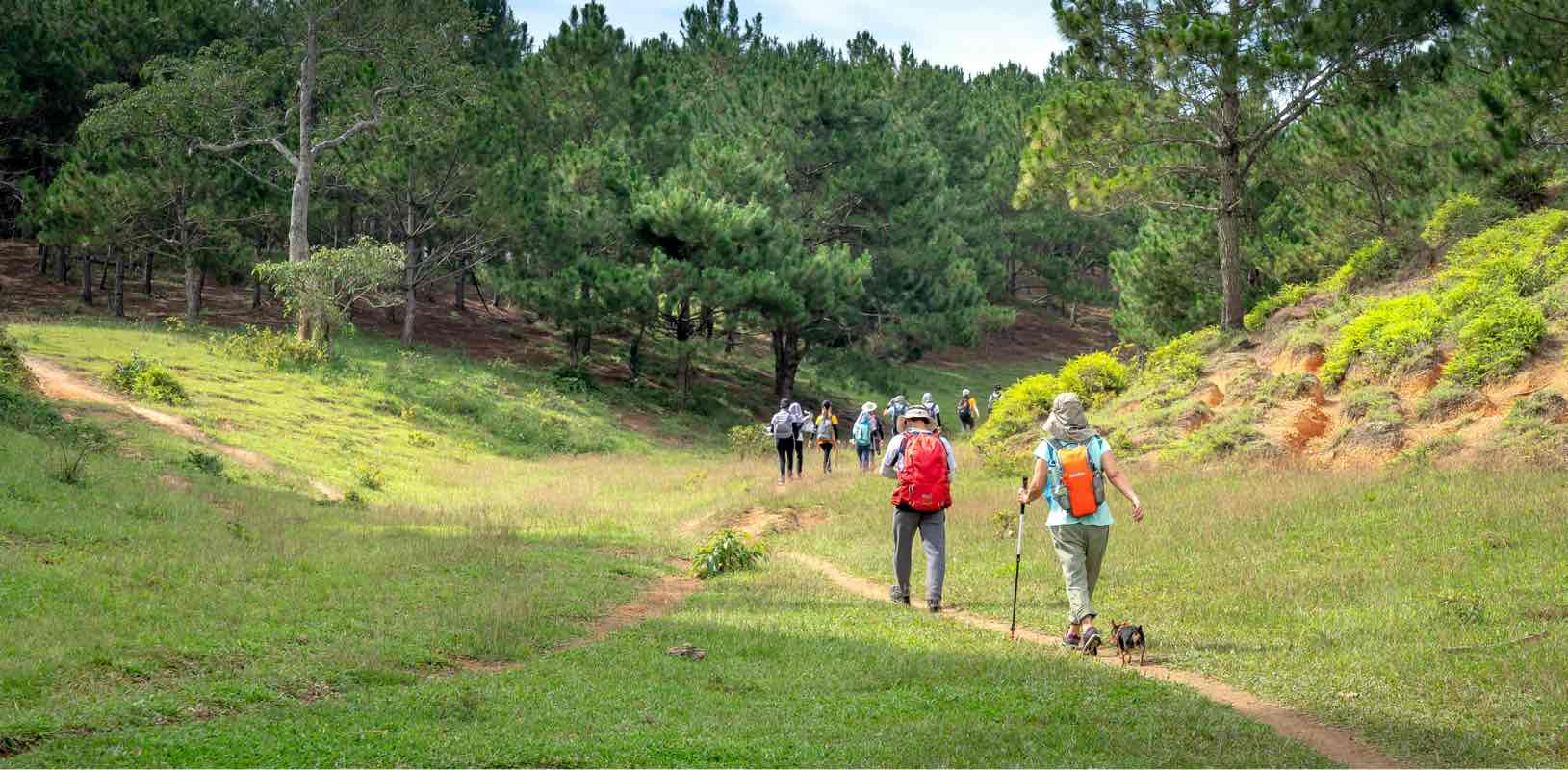 Flamée on the move banner