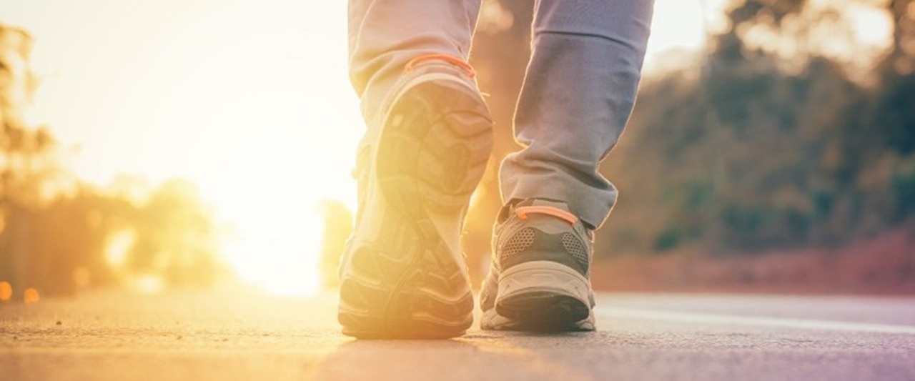 Vierdaagse 2026 banner