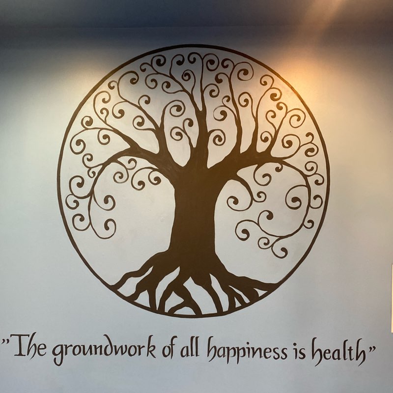 MetLife Fitness logo