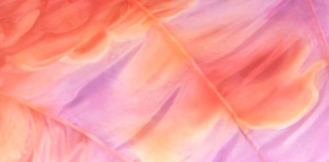 the life of the swift walker💕 banner