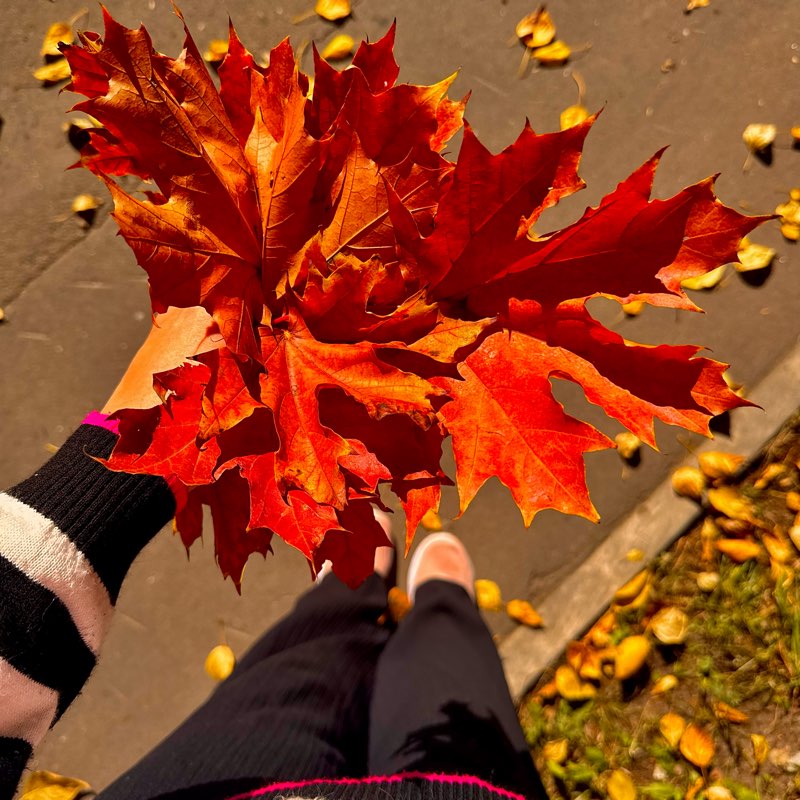 Шаги здоровья 🩵 logo