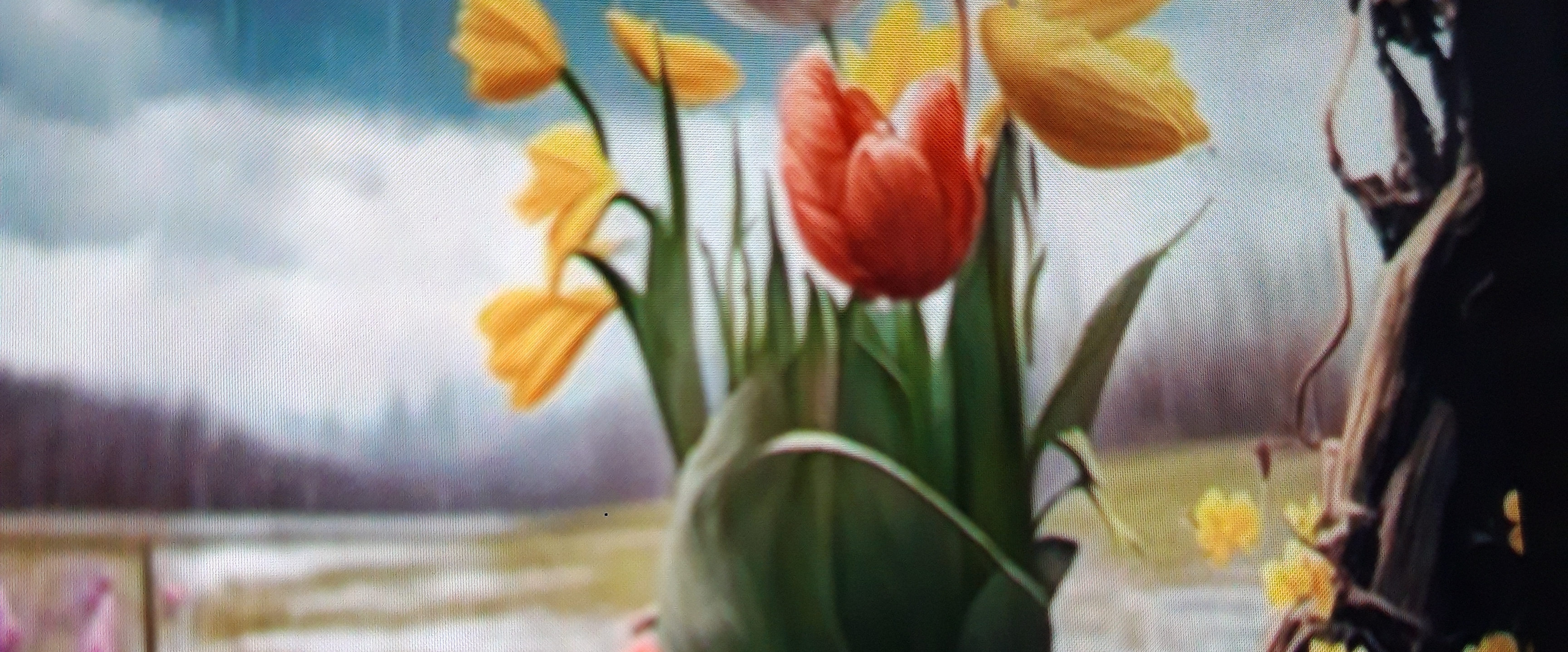 🌼🌹Run Daily 🏃🏼♀️🏃🏼♂️💚💙 banner