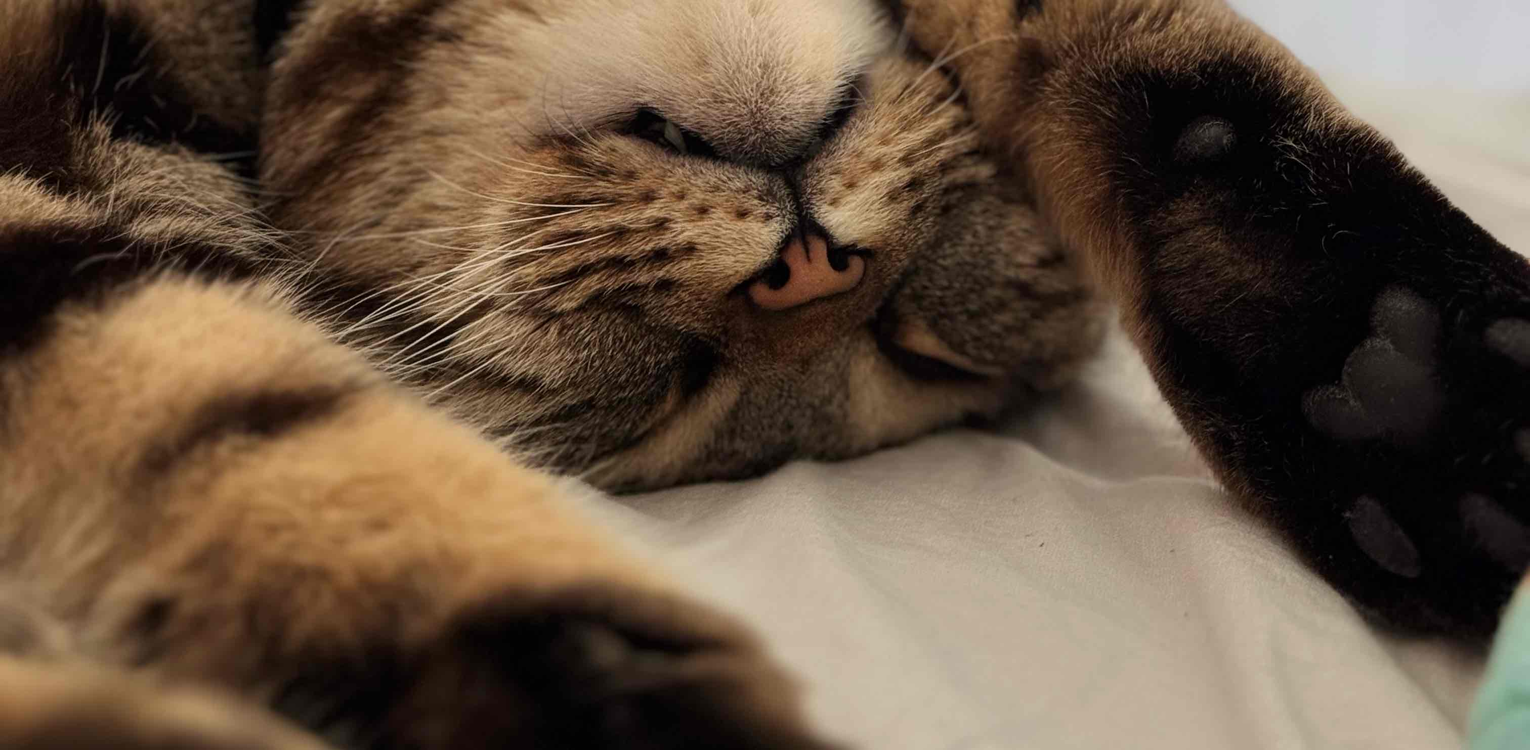 быстрее, выше, сильнее banner