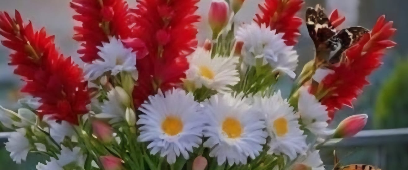 Шагай/бухай с удовольствием! banner