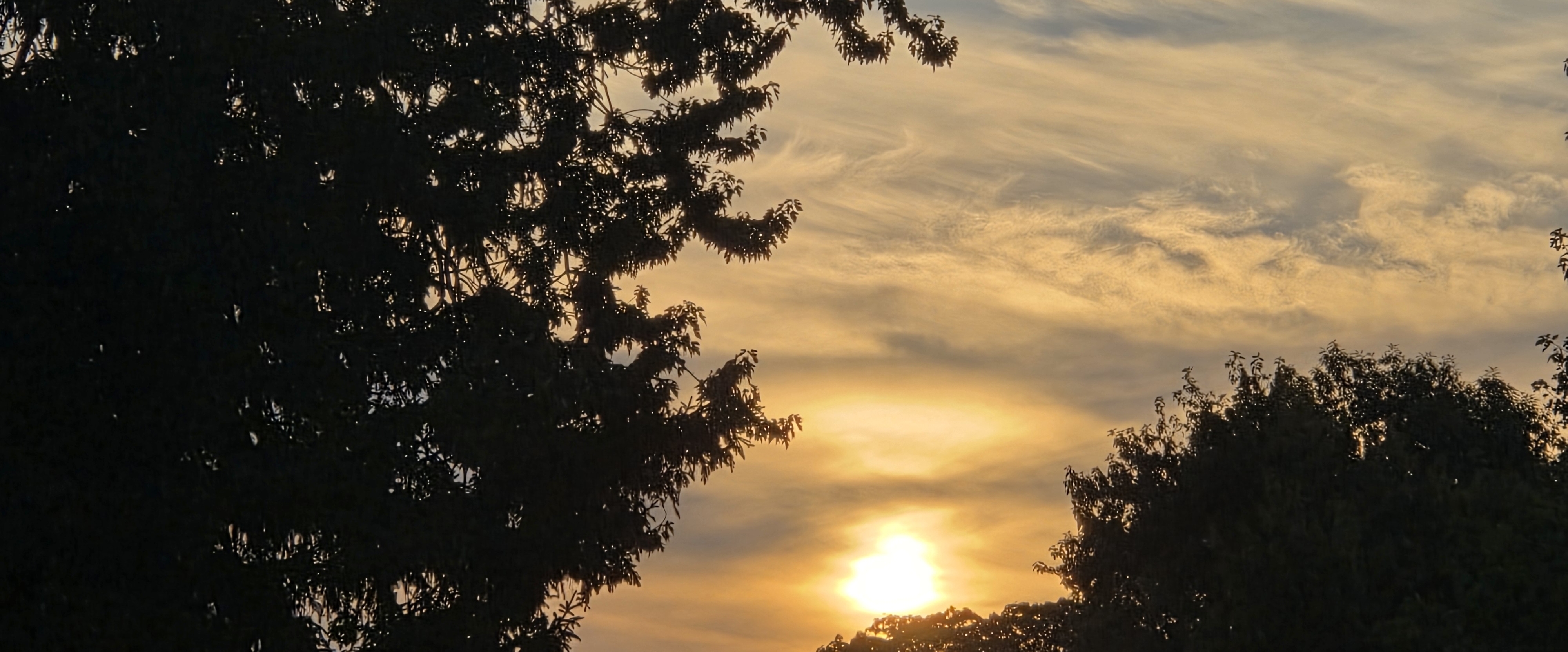 💜WALKING IS HEALTHY💜 banner