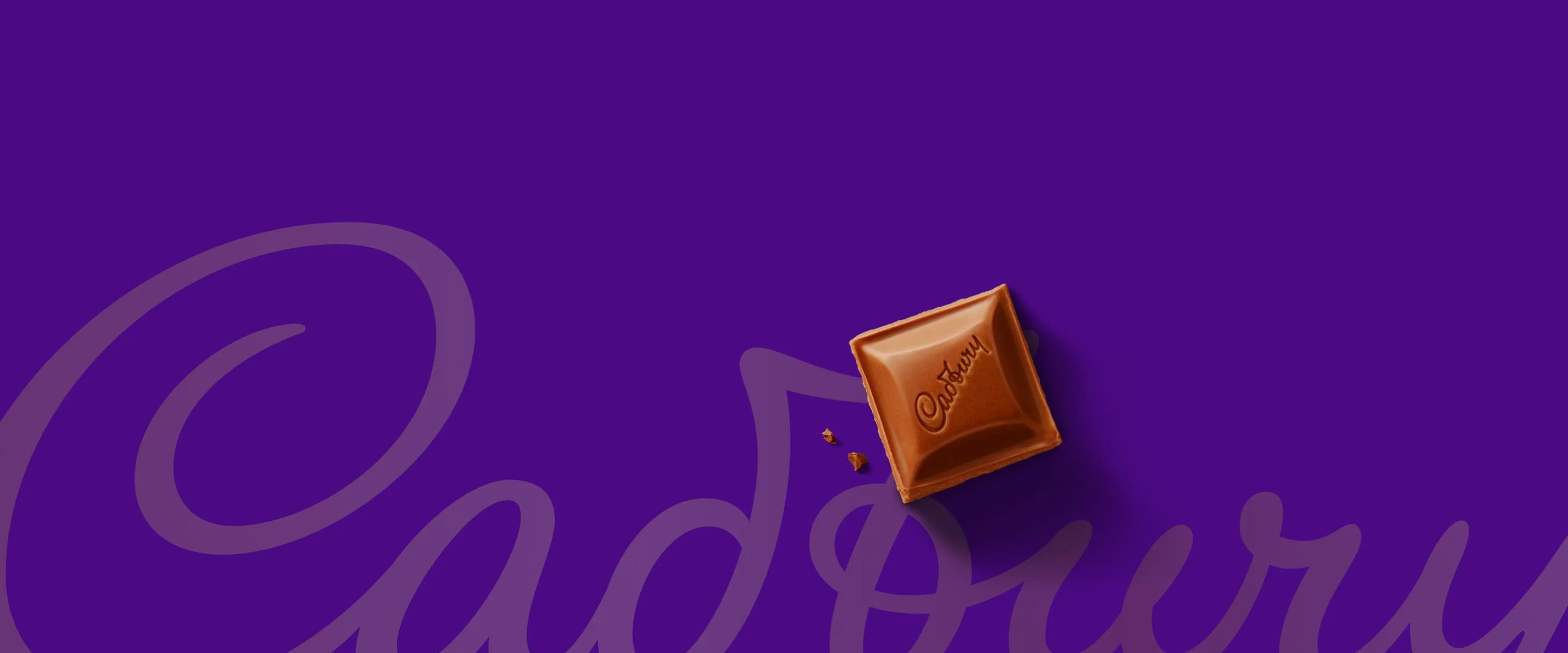 MDLZ SANTWA banner