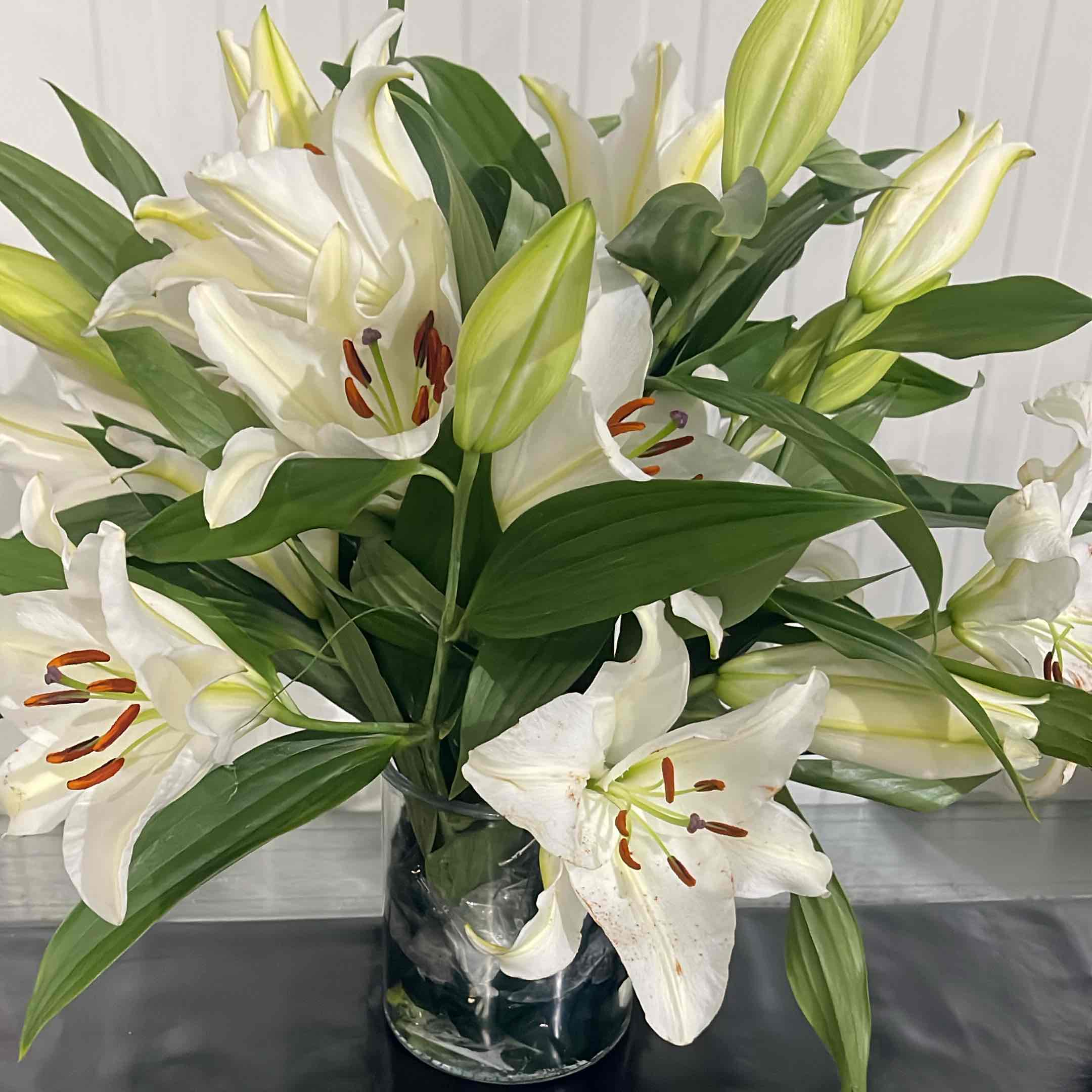 Health is Wealth logo