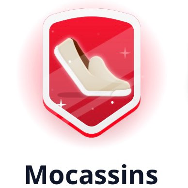 La ligue des Mocassins logo