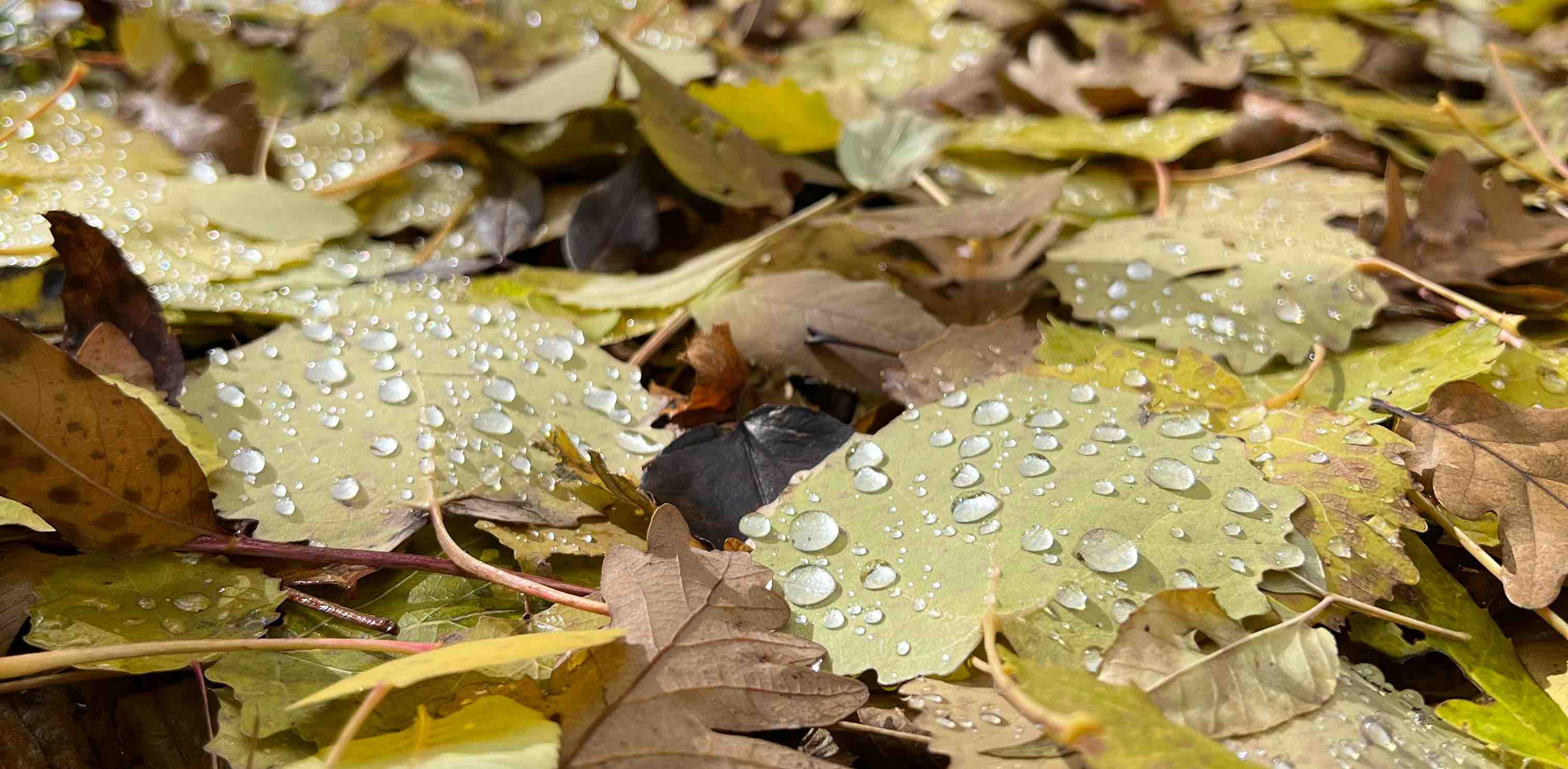 Просторы  Крыма 🍂 banner