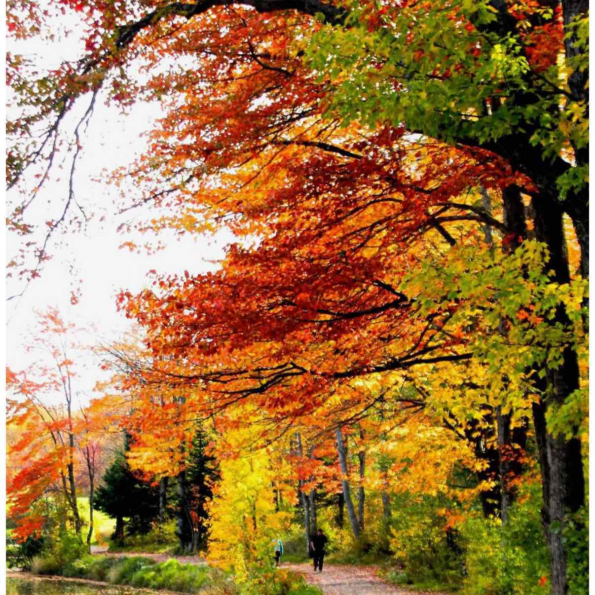 Soļu izaicinājums 2025 logo