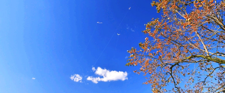 One Step D-Lab banner