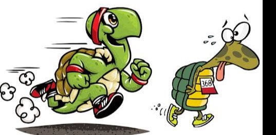 Черепашечки banner