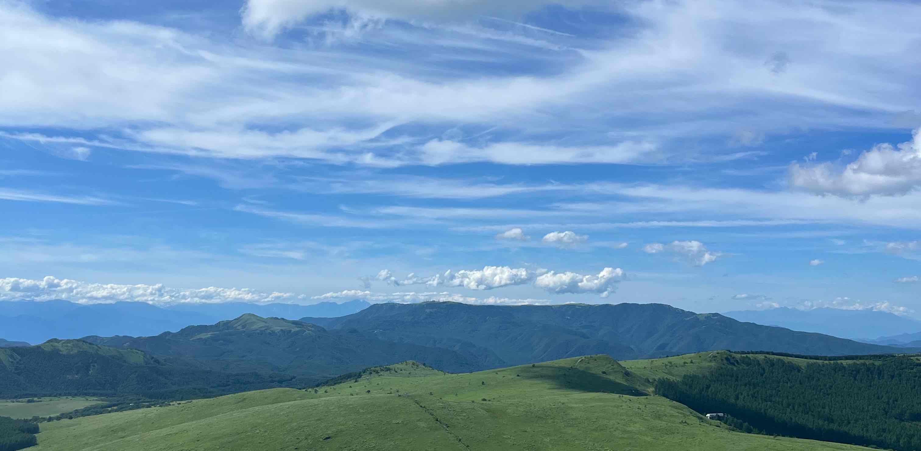 2025社員限定　歩こう会 banner
