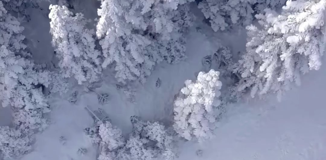 International Steps 2.0 banner