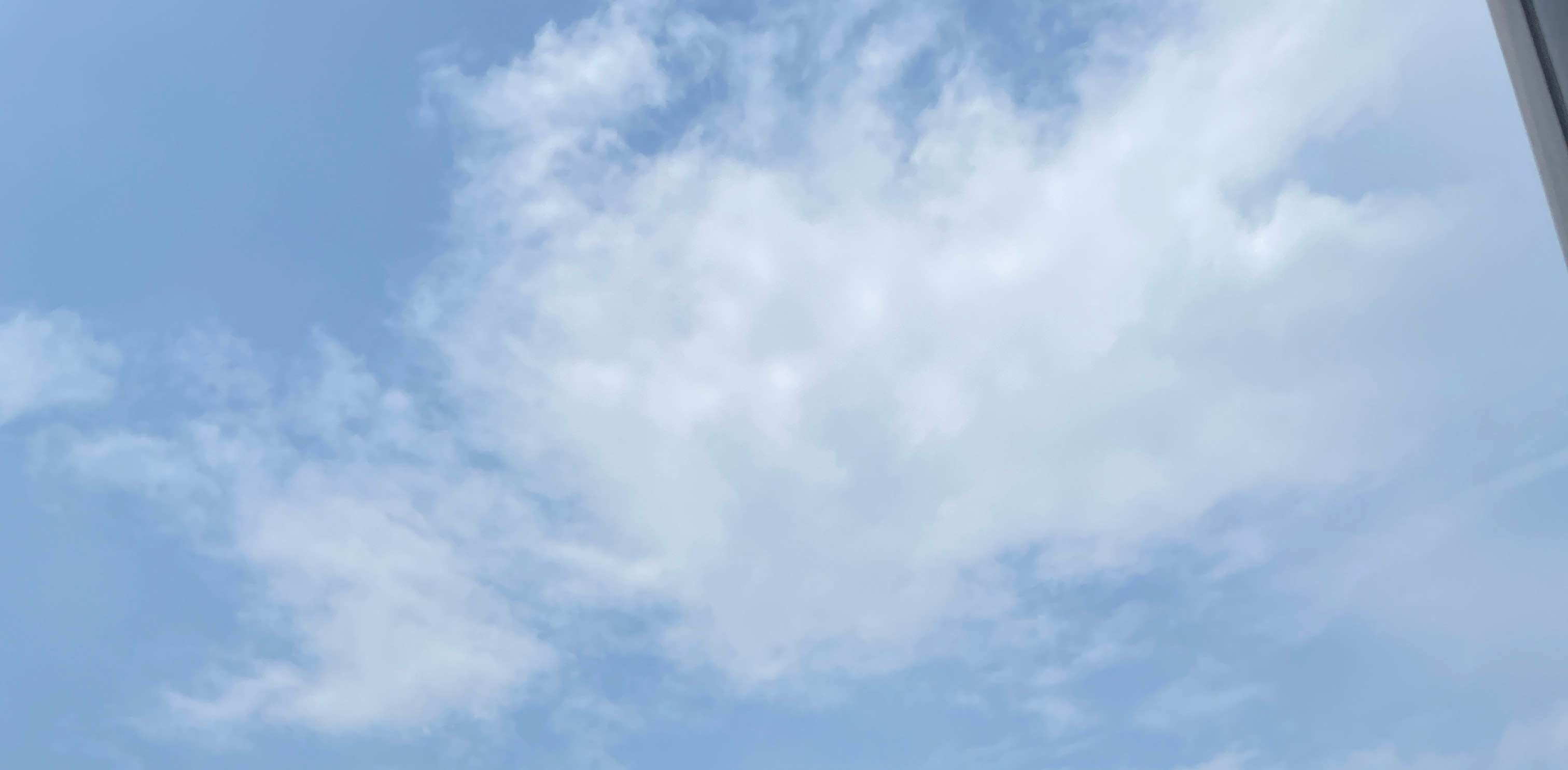 長長九九月份 banner