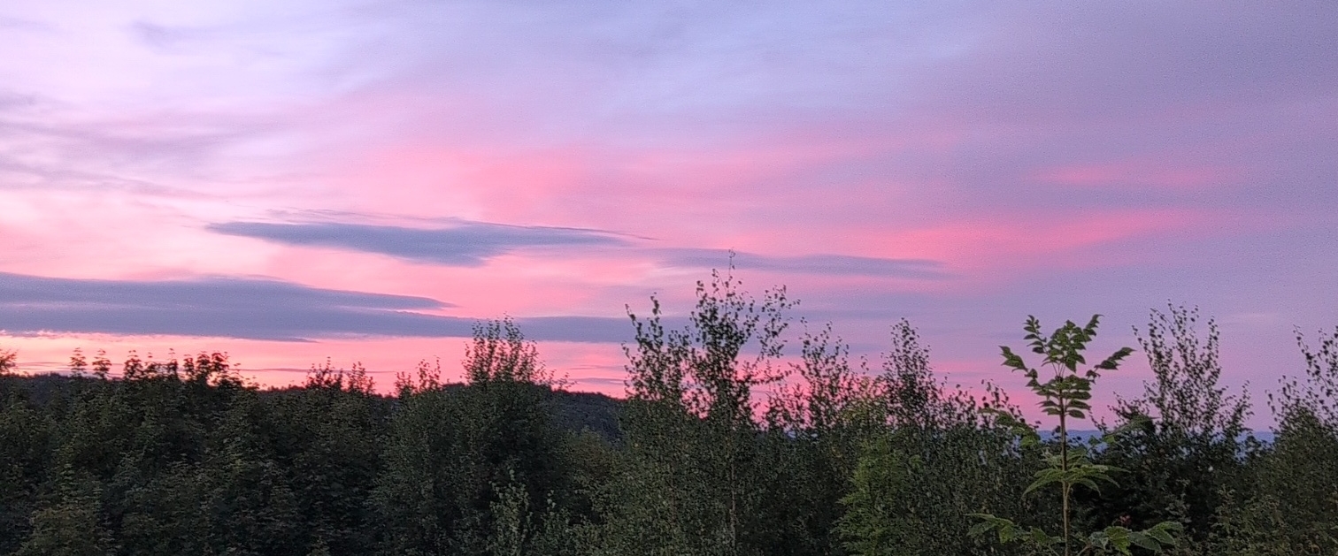 Sprekingan 🙌 banner