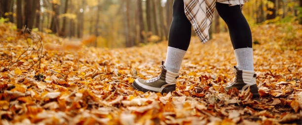 Friends Who Walk banner