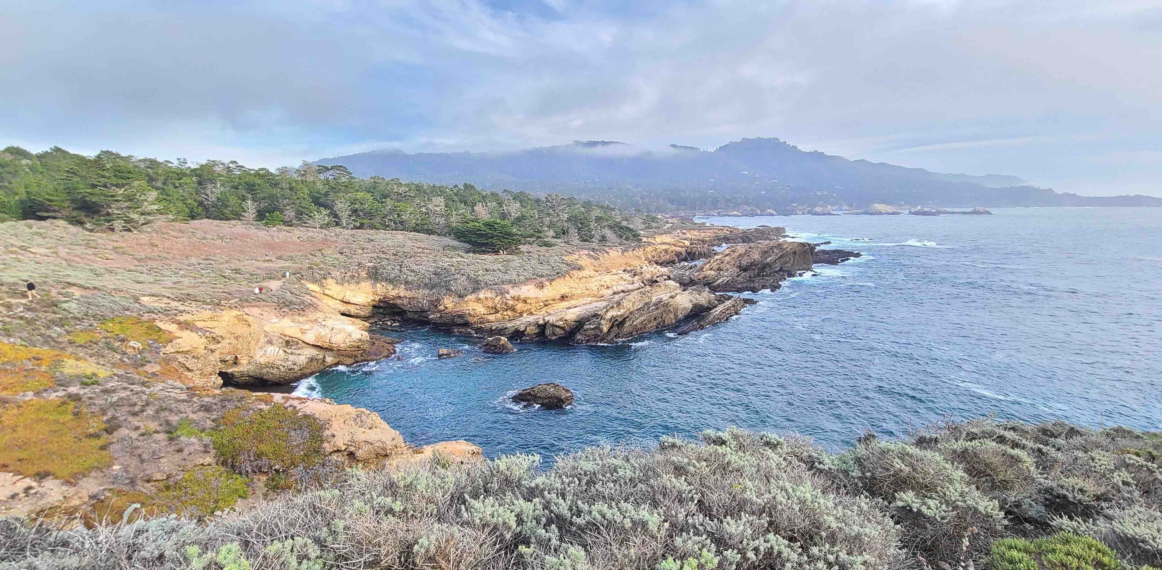 Friends in Motion banner