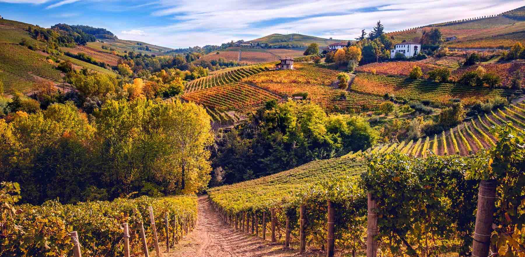 Fall Challenge ! banner