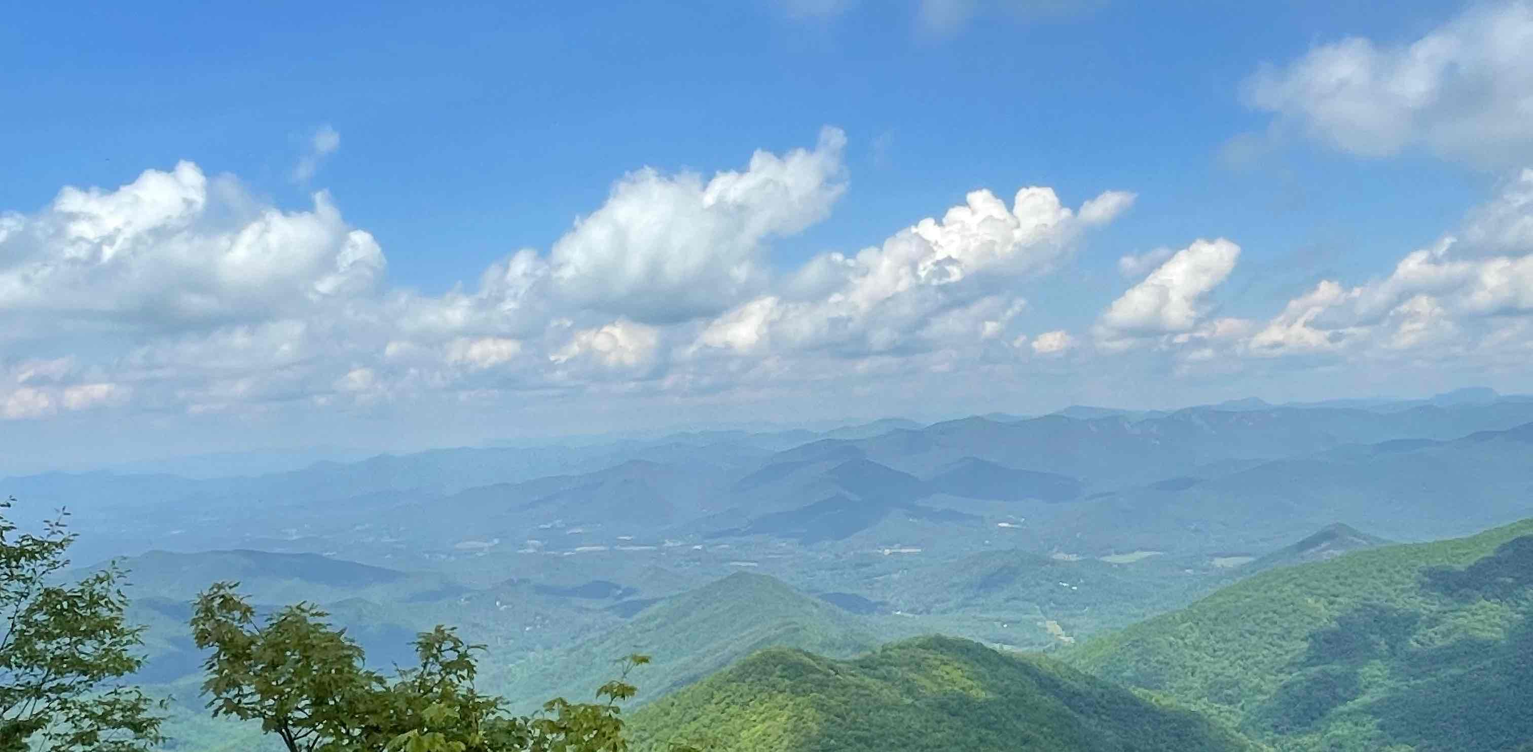 Temple runners banner