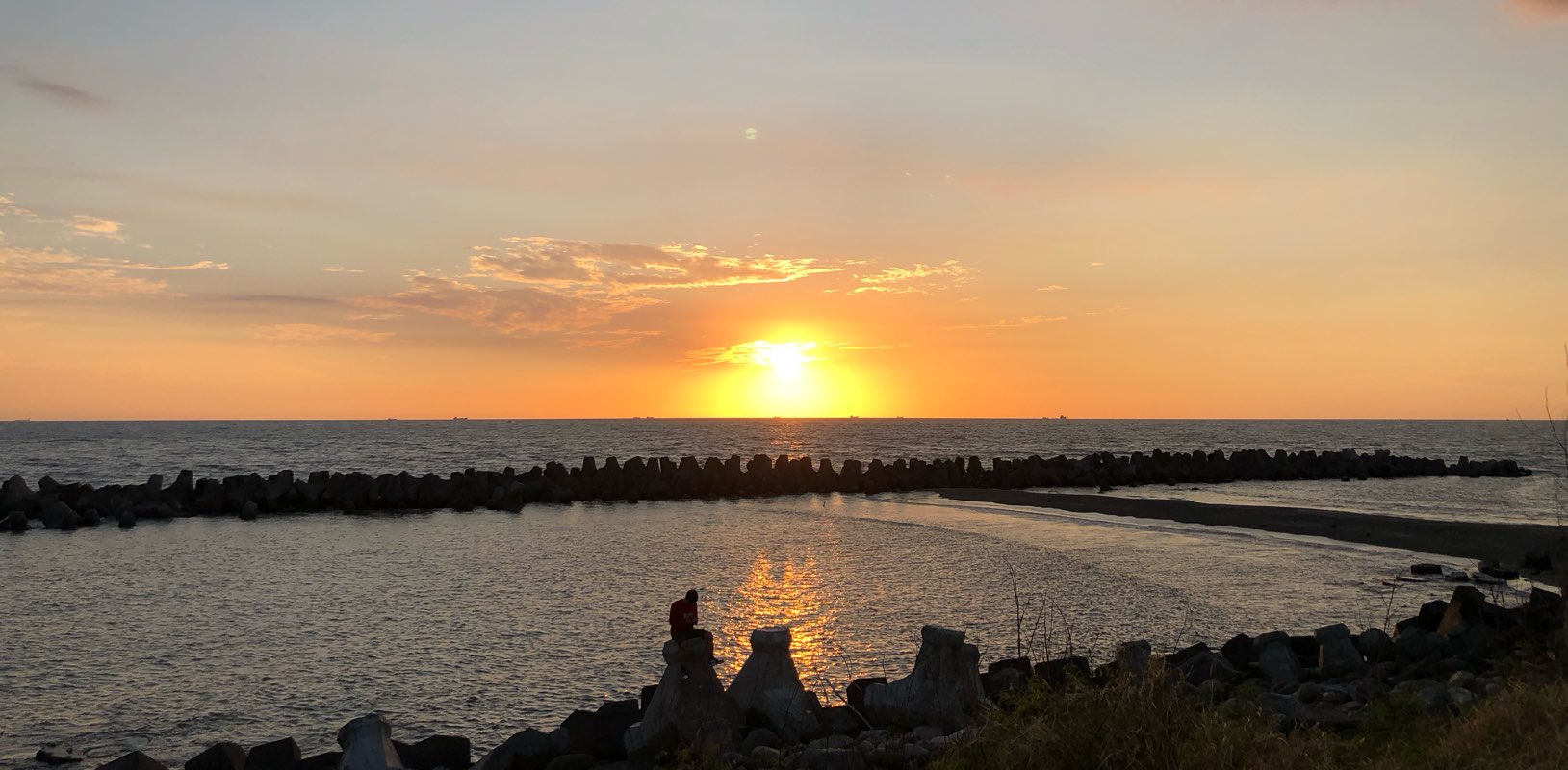 慢走健康行 banner