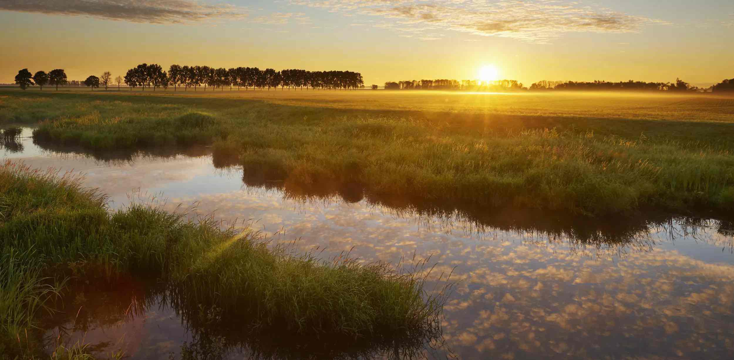 Cuccibu wandelchallenge 💪🏼 banner