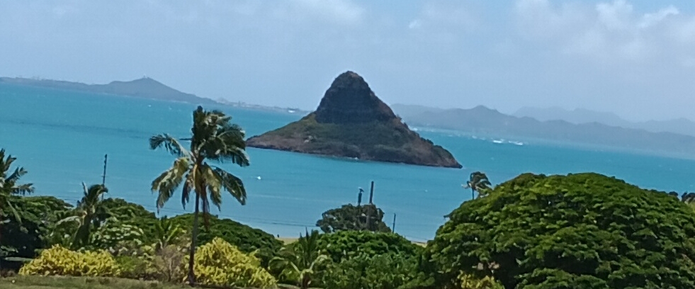 walkie talkies banner