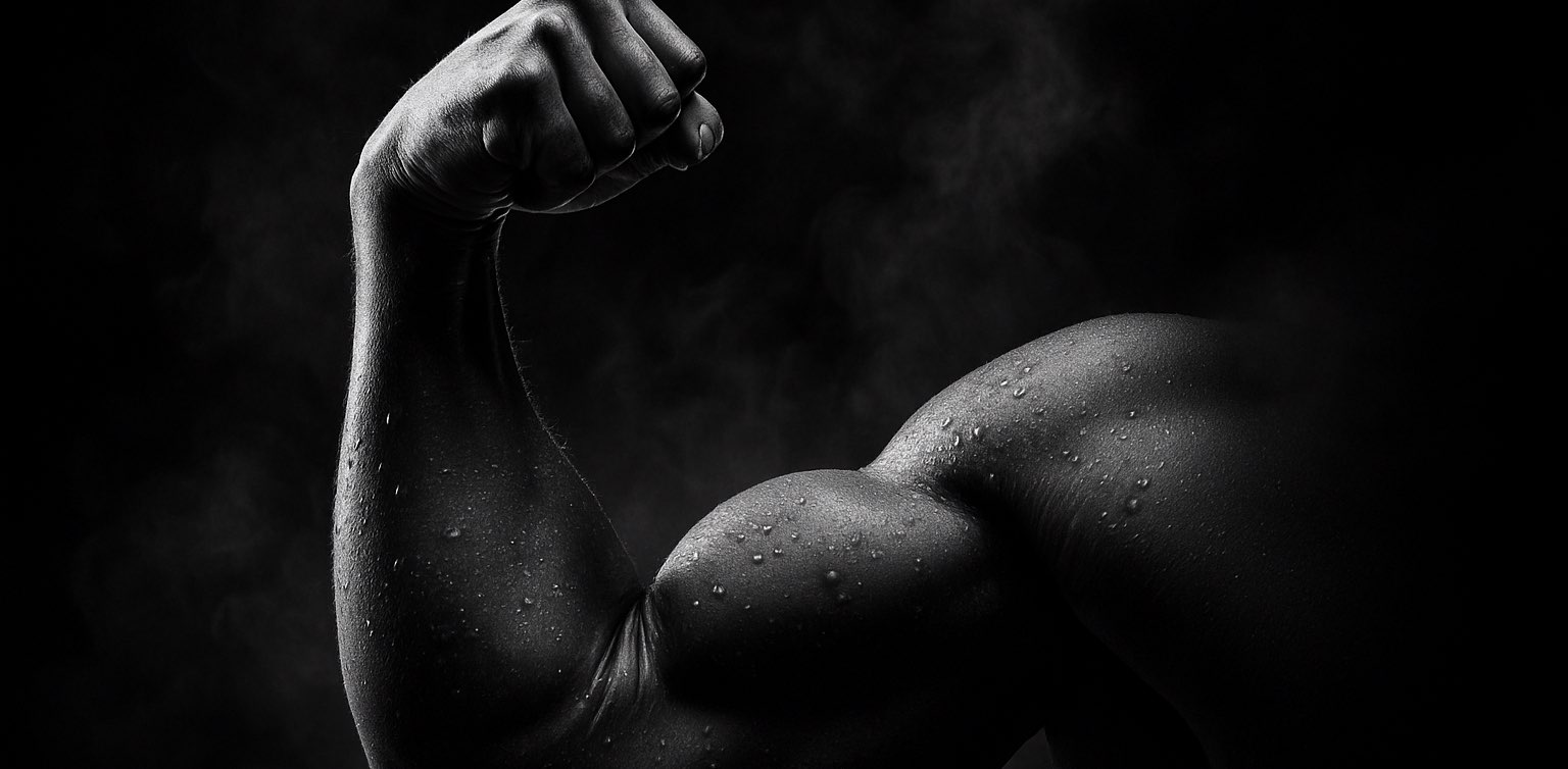 Team Chaos-jetzt in Sportlich banner