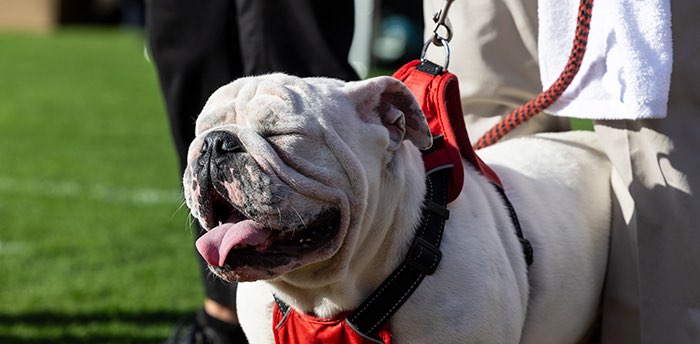 psGO GET THOSE STEPS! banner