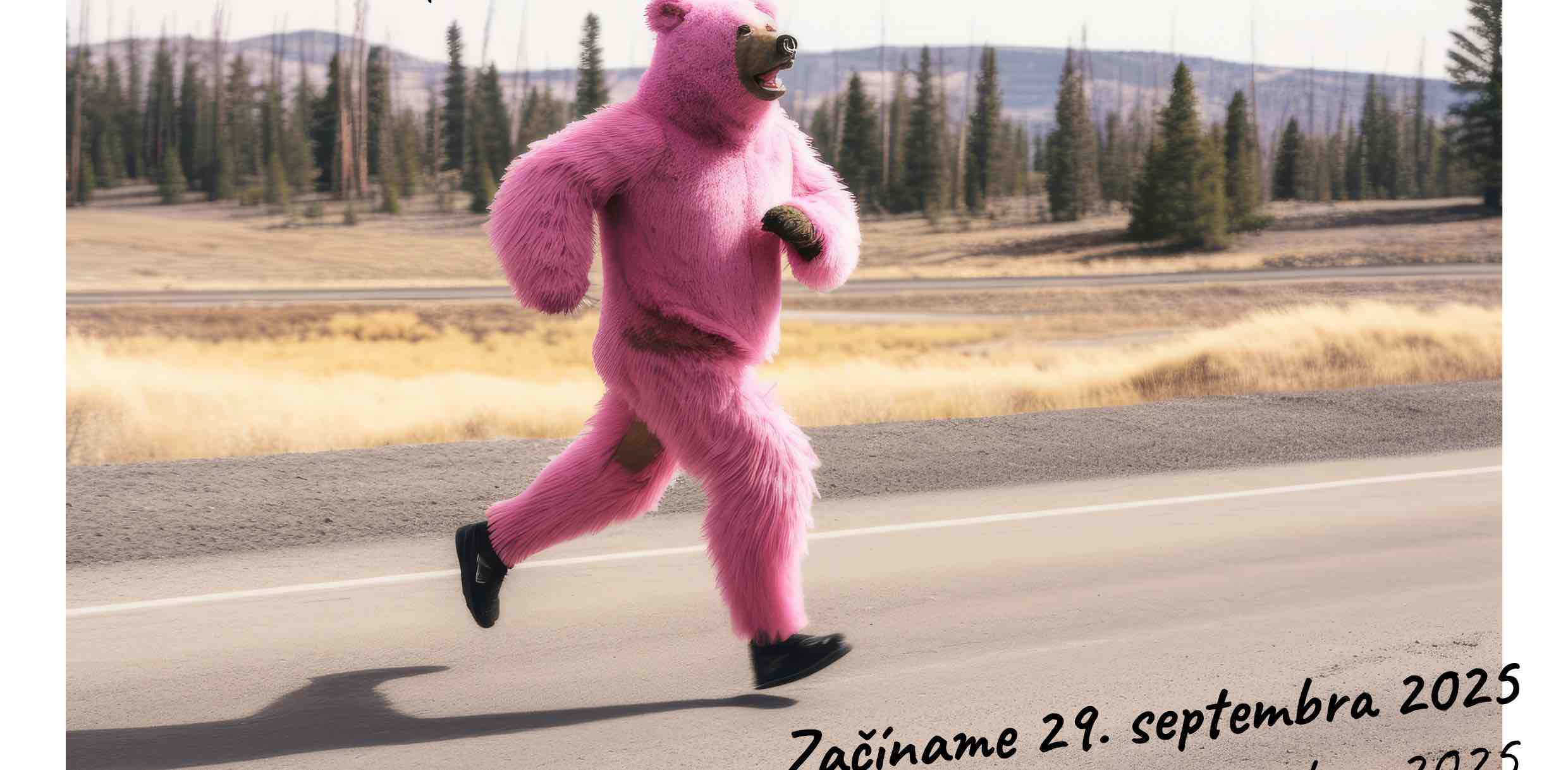 ARVAL SLOVAKIA banner