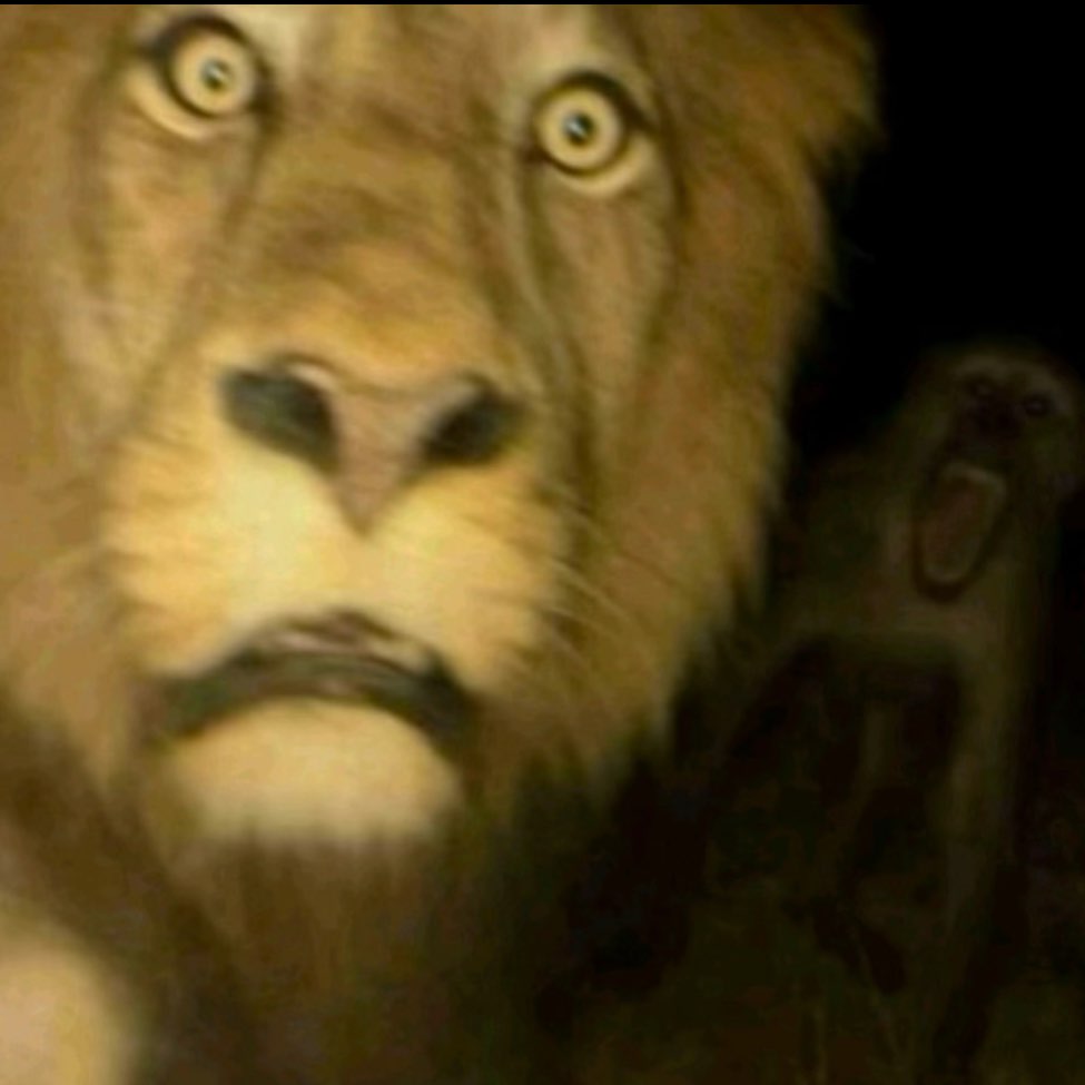 The Hot Trotters logo