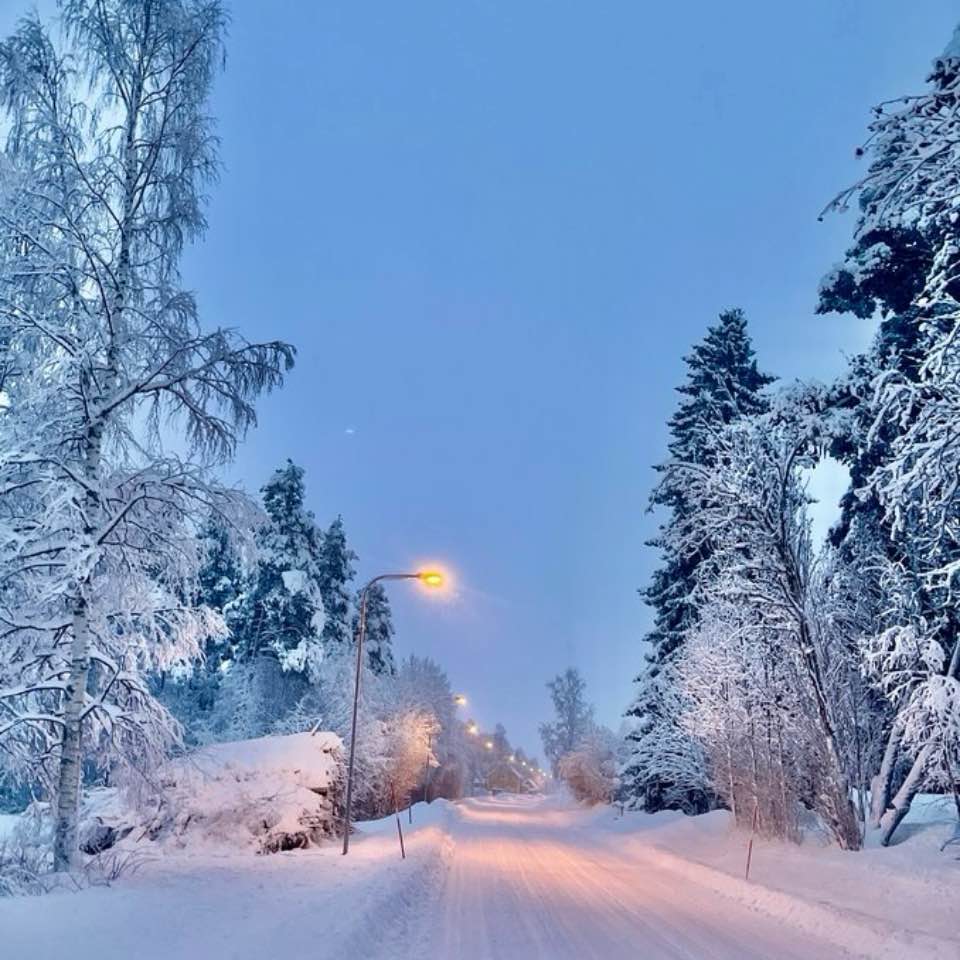 Winterfun❄️❄️❄️ logo